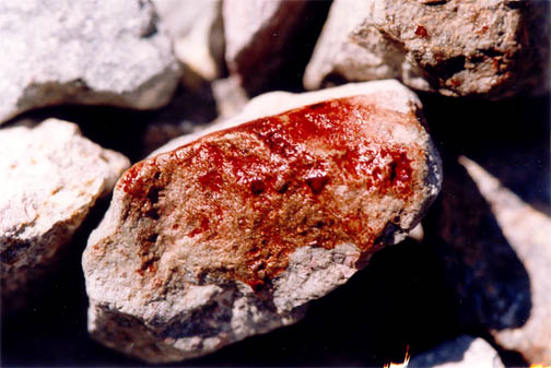 una foto di pietre macchiate del Prezioso Sangue