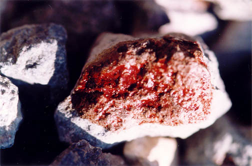 una foto di pietre macchiate del Prezioso Sangue