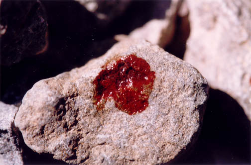 una foto di pietre macchiate del Prezioso Sangue
